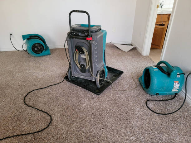 Best Mold removal after water damage  in West Jefferson, OH